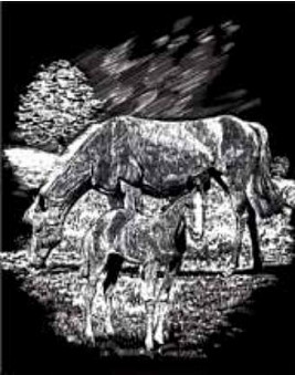 Гравюра серебро Лошадь с жеребенком
