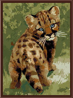 CE008/Детеныш леопарда - картина по номерам