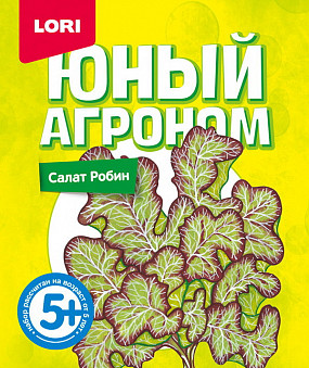 Набор Юный агроном "Салат Робин"